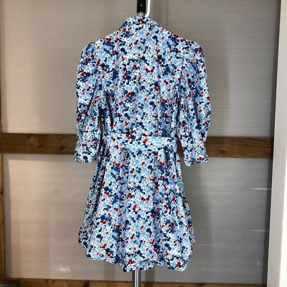 Aritzia Little Moon Sweetie Dress Oak/Porcelaine Blue A-line Puff Slv Mini  Sz 4 - Picture 12 of 16